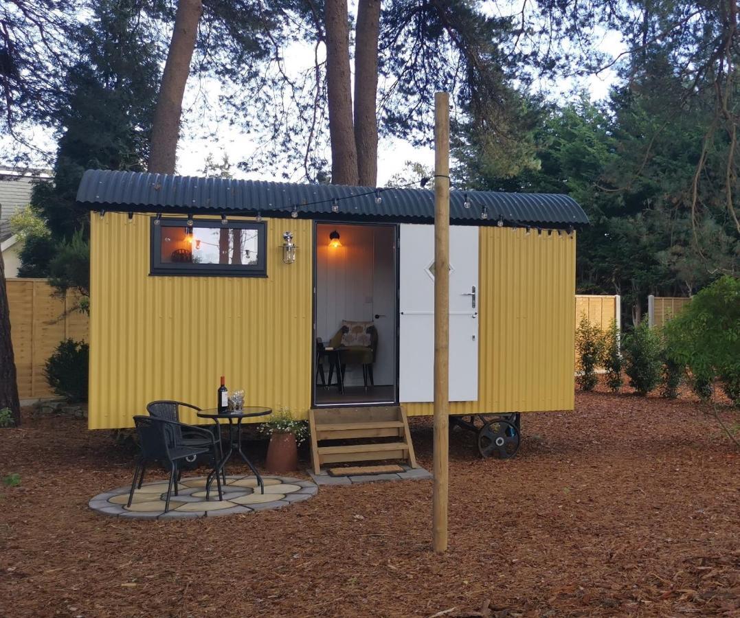 Forest Heath Shepherd'S Huts ริงวูด ภายนอก รูปภาพ