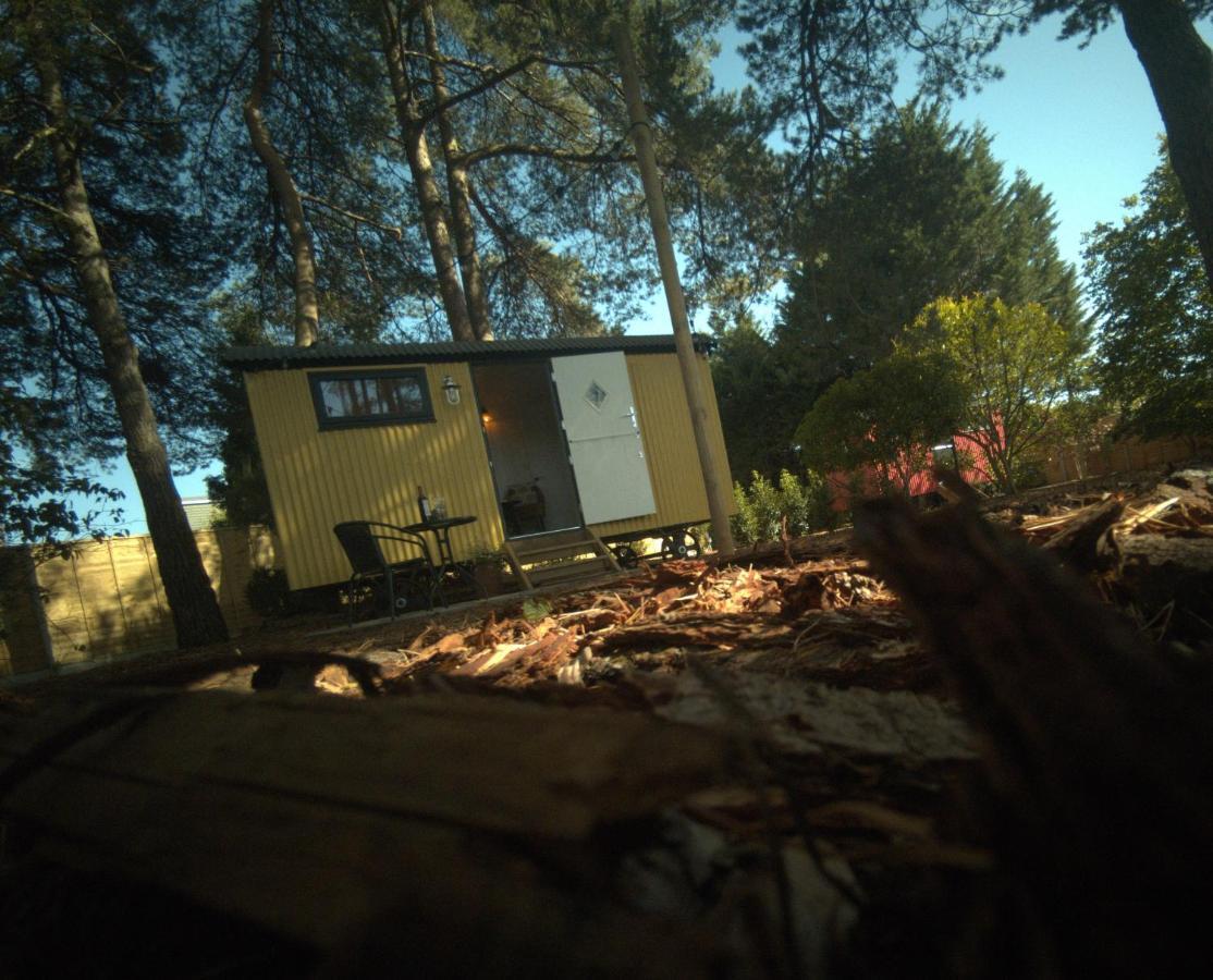 Forest Heath Shepherd'S Huts ริงวูด ภายนอก รูปภาพ