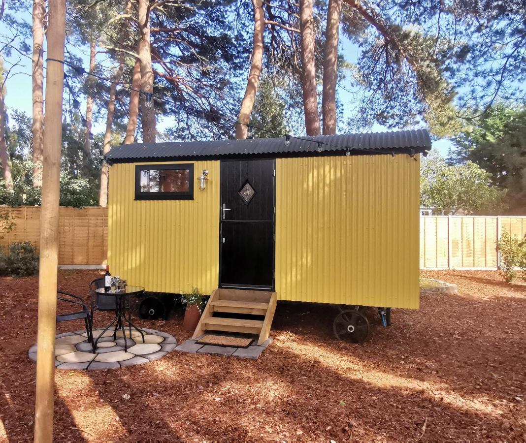 Forest Heath Shepherd'S Huts ริงวูด ภายนอก รูปภาพ