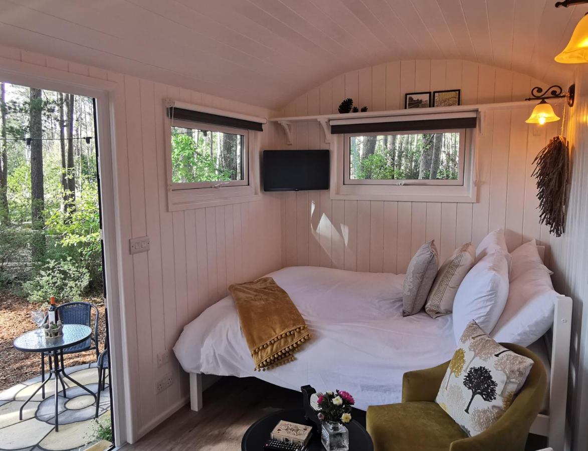 Forest Heath Shepherd'S Huts ริงวูด ภายนอก รูปภาพ