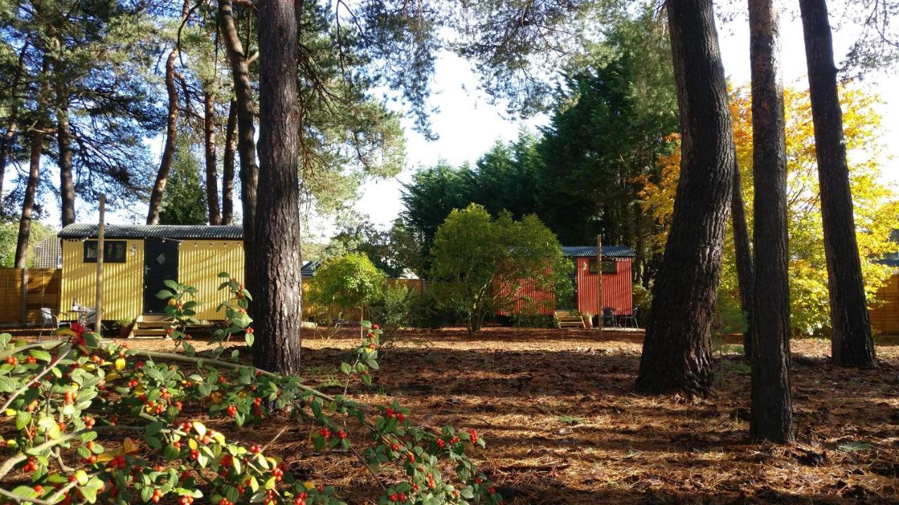 Forest Heath Shepherd'S Huts ริงวูด ภายนอก รูปภาพ