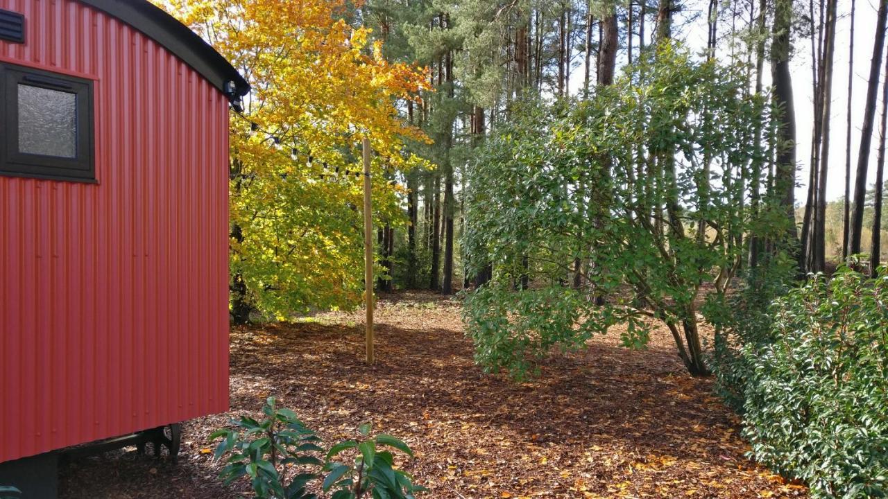 Forest Heath Shepherd'S Huts ริงวูด ภายนอก รูปภาพ