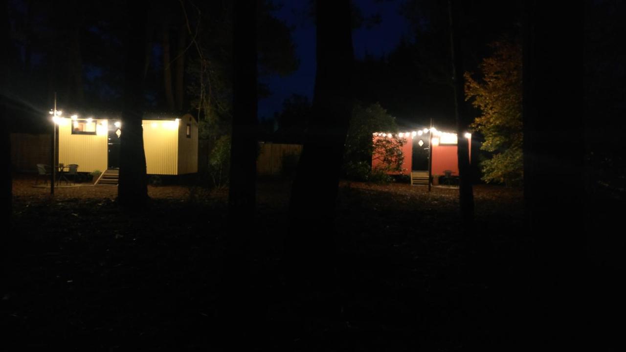 Forest Heath Shepherd'S Huts ริงวูด ภายนอก รูปภาพ