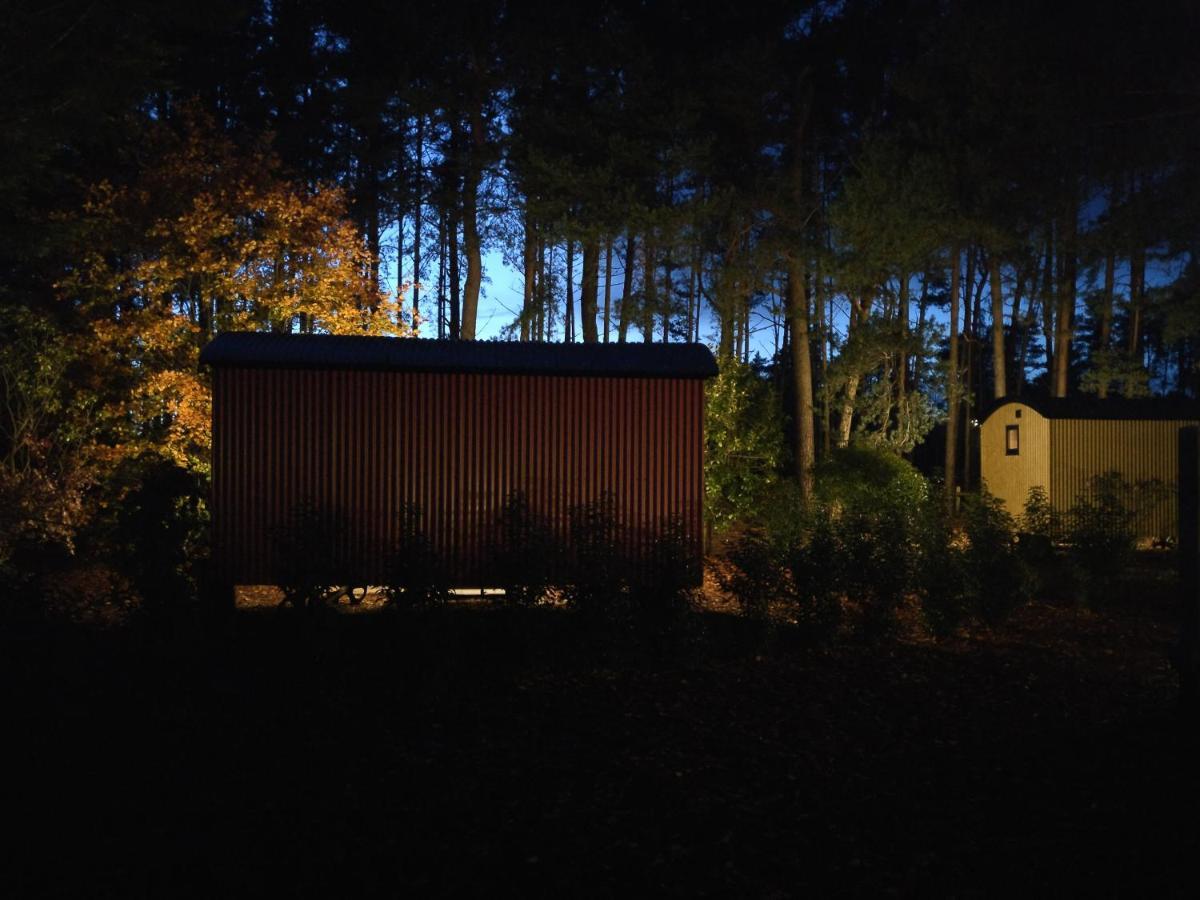 Forest Heath Shepherd'S Huts ริงวูด ภายนอก รูปภาพ